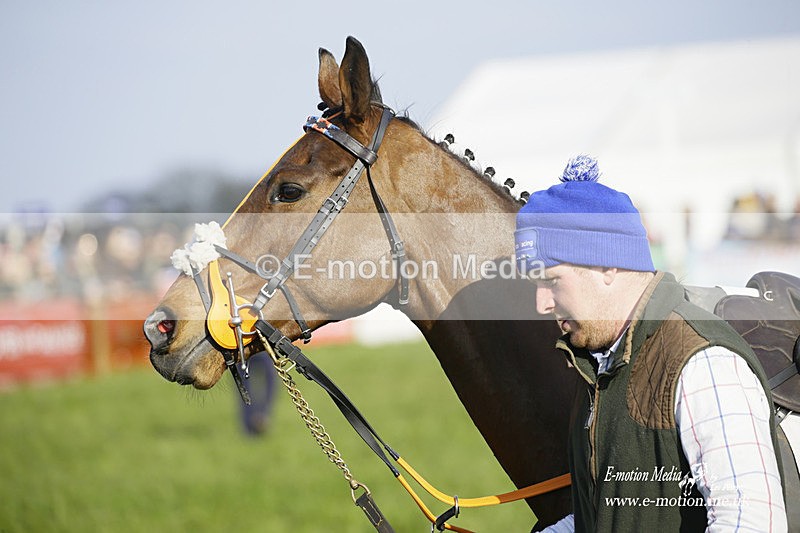 PtP 200322 413 - Mendip Farmers Point-to-Point 20/03/22