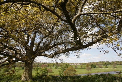136 - SCOTTISH BORDERS