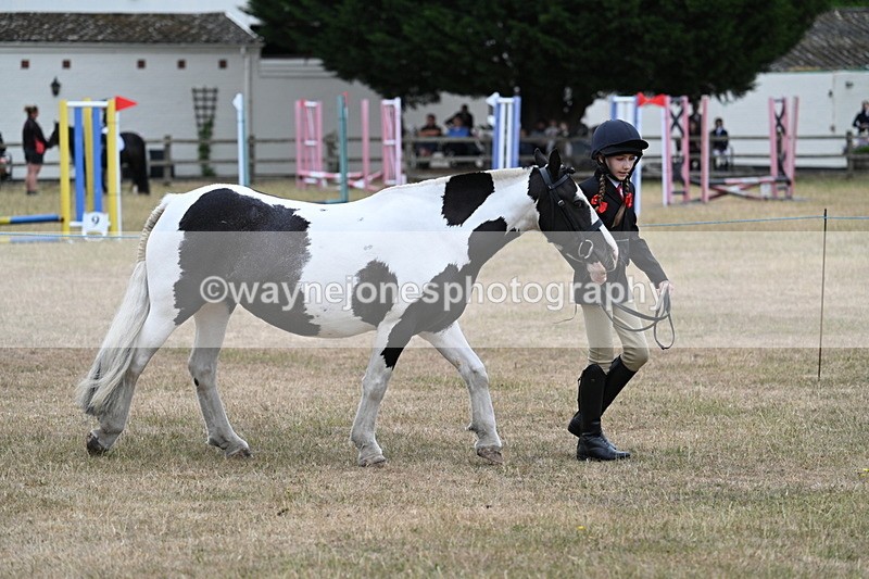 WJ7_8275 - Class 4 Prettiest Mare up to 14.2hh