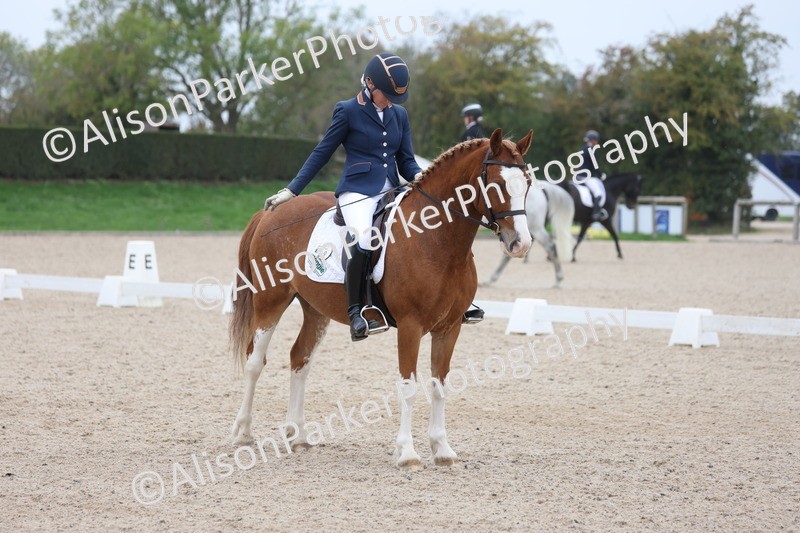 20251011-0418 - Class 4 - Novice 2