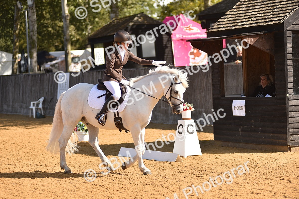 SBM_03004 - D4 - Small Tour Championship Intro 4