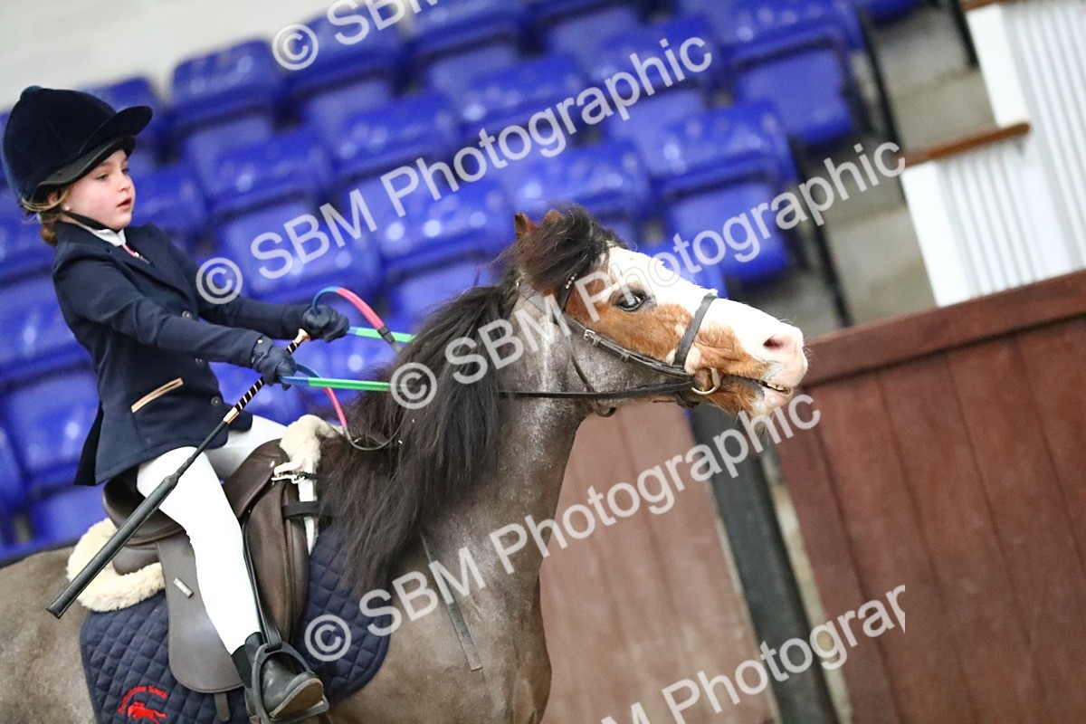 SBM_000551 - Class 2 - 40cm