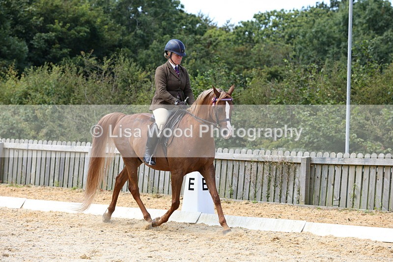 1X9A8338 - Class 13: Arab Ridden