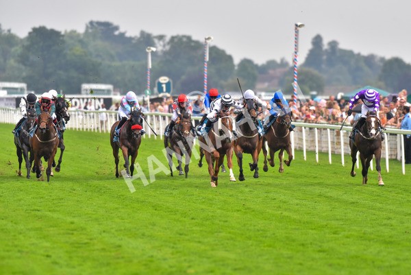 100923-Race 7-Looking For Lynda-2141 - Race 7 4.55pm Brian Taylor 50 Not Out Apprentice Handicap