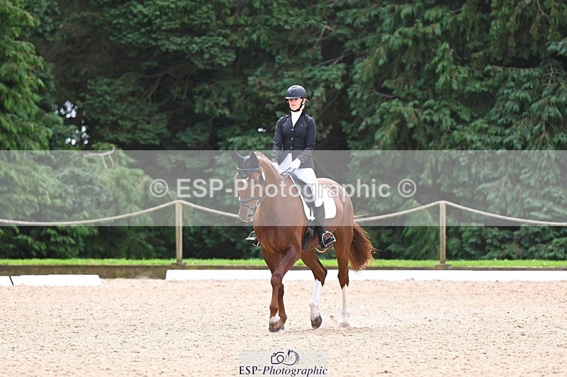 240809-121548-00708 - 185-Daisy.Hedges-Felicia.v