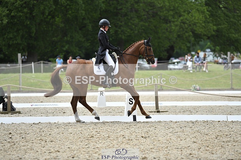 230525-130325-02087 - 113-I'M_A_WONDER-Rosie_Fry-WEDTrotUp+DR