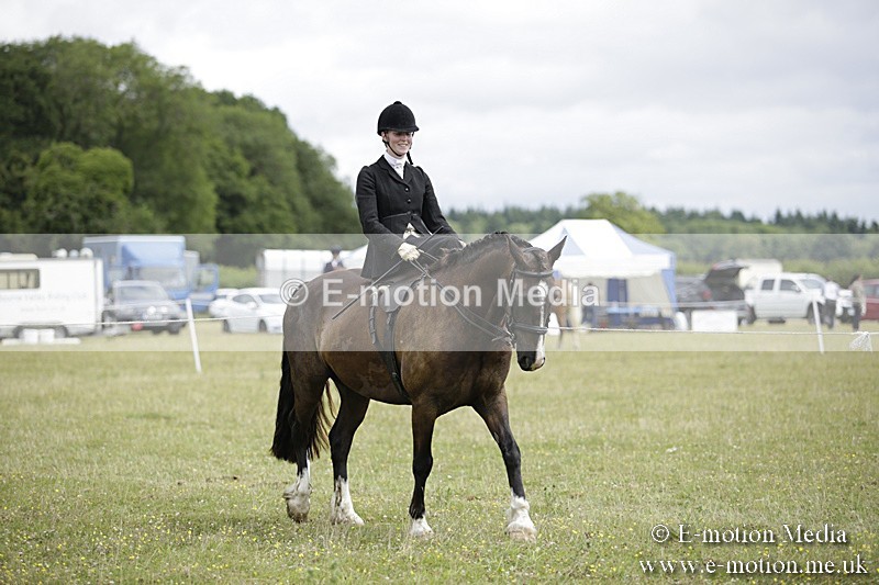 BVR160717-2000 - Side Saddle Classes 16/07/17