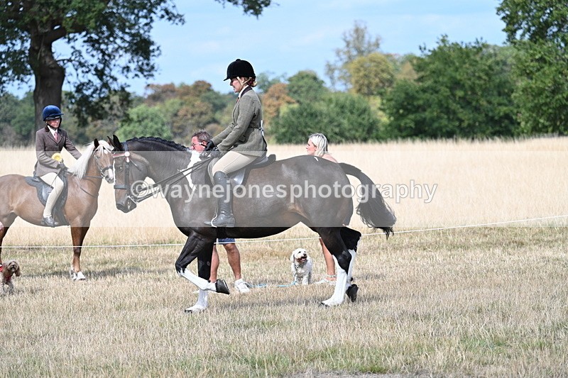 WJ7_5853 - Class 13 Ridden Veterans