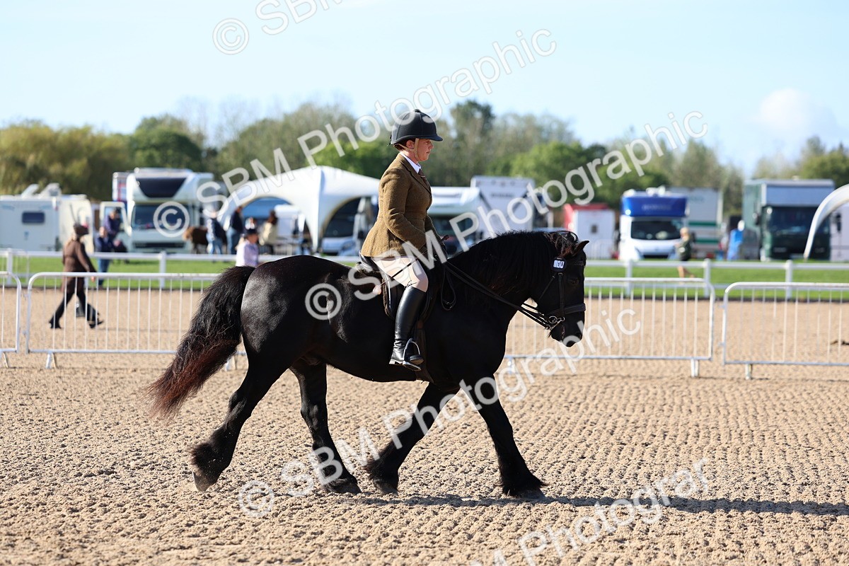 SBM_08878 - Class 302 - Ridden M&M - Large Breeds