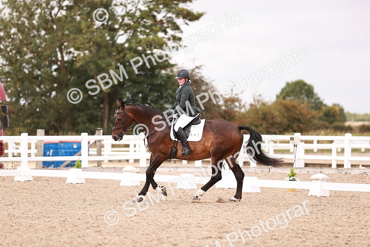 SBM_06367 - Class 37 - Novice 5