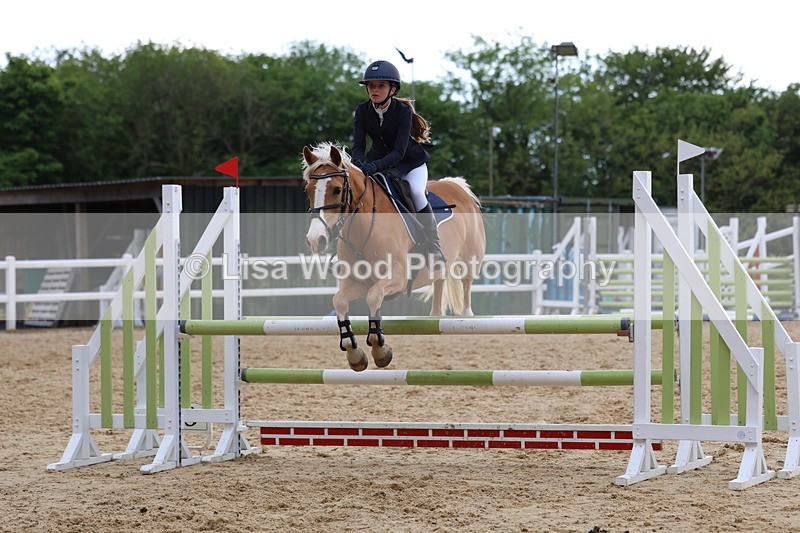 3E7A8521 - Class 14: Pony Newcomers/1m open