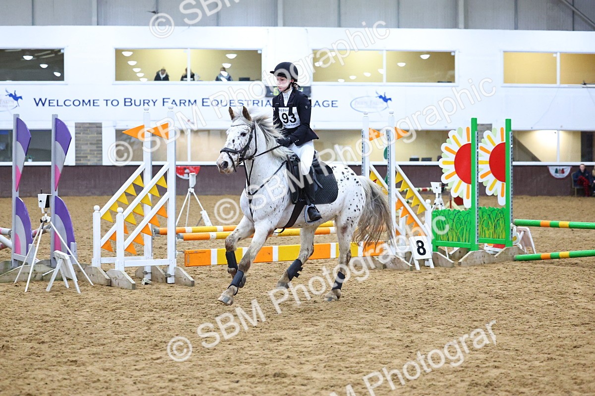 SBM_001317 - Class 3 - Christmas Tree Stakes - 60cm