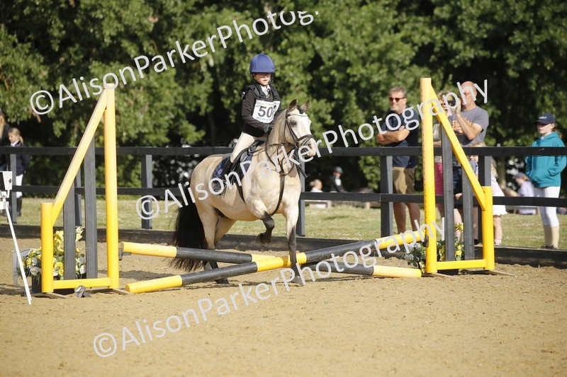 20250622-1154 - 40cm