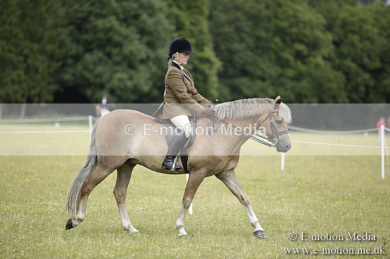 BVR160717-1283 - Ring 1 BVRC Show 16/07/17