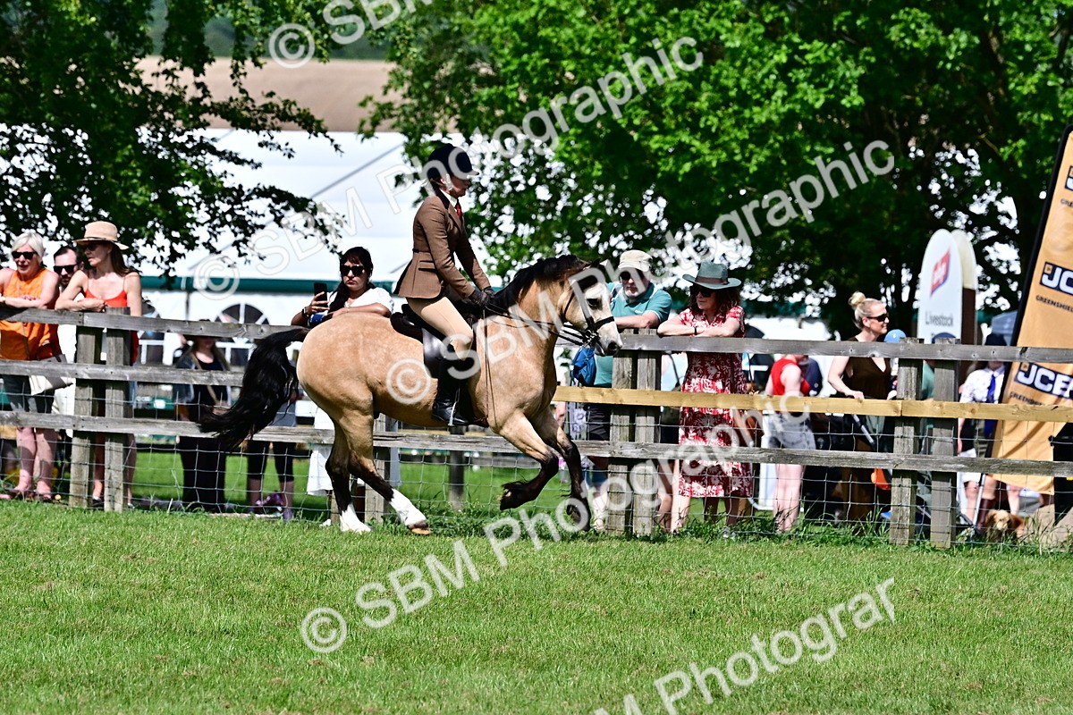 SBM_07979 - Class 61-62 - TSR  M&M Ridden Amateur of the Year