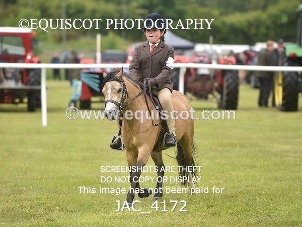 JAC_4172 - 30CM WORKING HUNTER