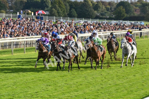 230923-Race 5-Vintage Clarets-6790 - Race 5 4.20pm Vickers.Bet Handicap