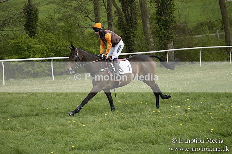 PtP 170417 148 - Old Berks Point-to-Point Lockinge 17/04/17