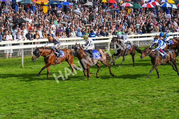 260823-Race 5-Summerghand-Albasheer-0767 - Race 5 Sky Bet Constantine Handicap