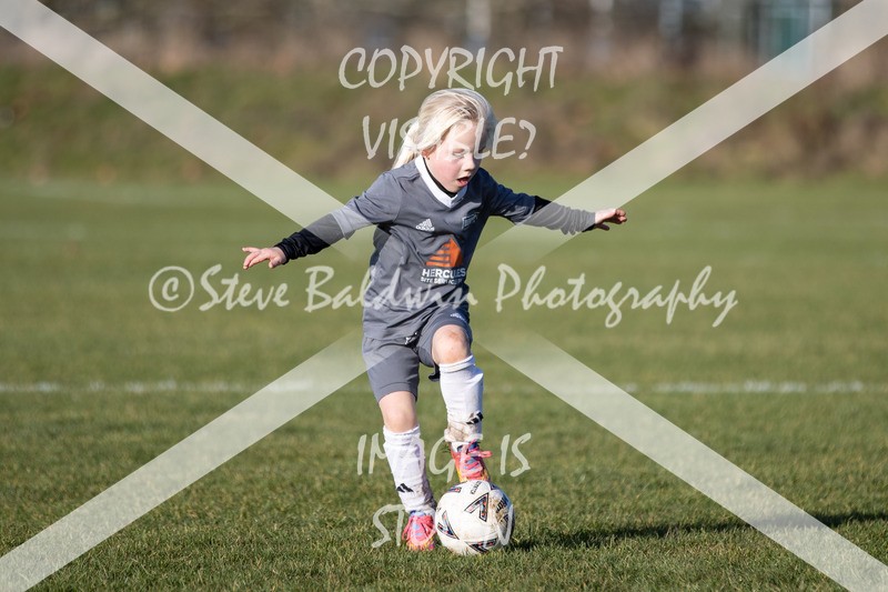 1DX31079 - 2026-01-17 FC Abbey Meads U9 Purple Girls V Develop FC U9 Girls