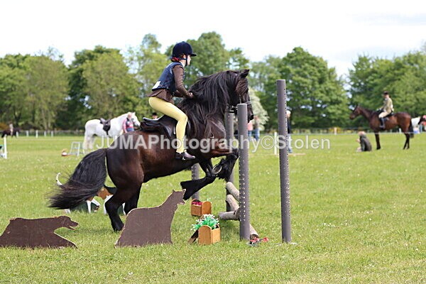 IMG_3264 - Working Hunter