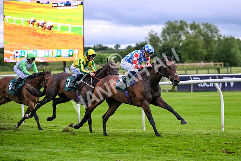 110626-Race 5-Sixpack-5212 - Race 5 20.23pm Try Racing TV For Free Now Handicap