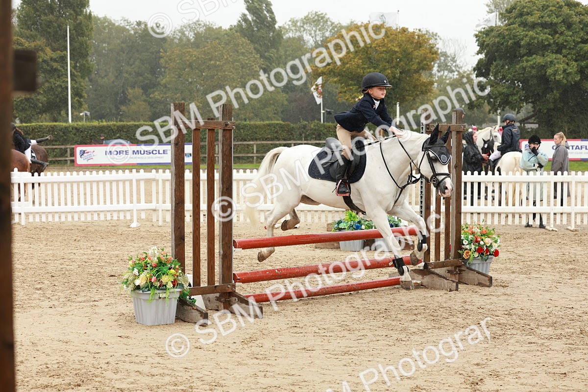 SBM_71261 - J14 - Junior Pony 65cm Championship