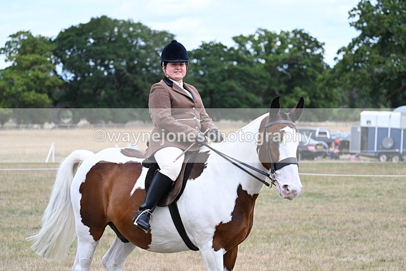 WJ7_5434 - Class 12 Ridden Cob