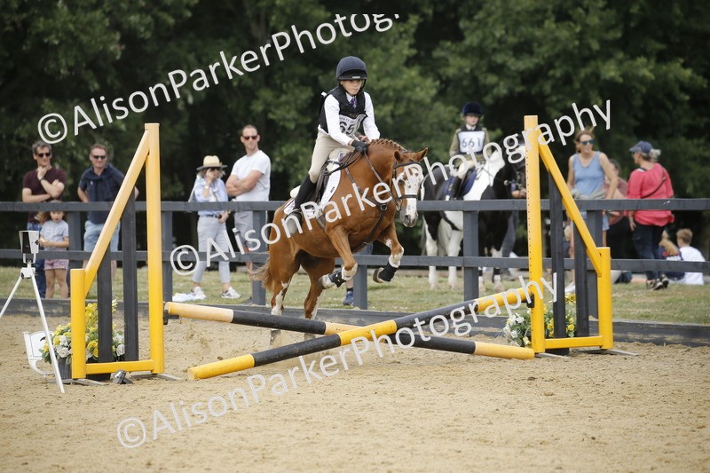 20250622-4635 - 50cm