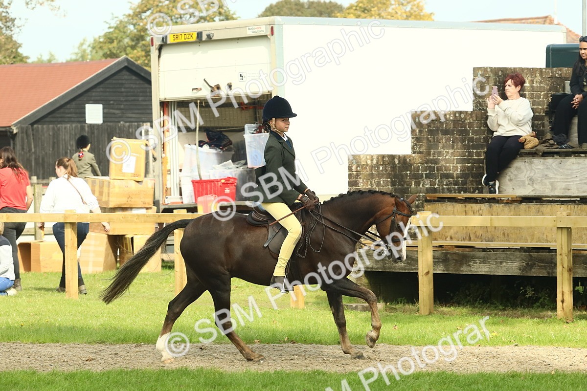 SBM_69032 - S58 - Mini Show Cob Ridden