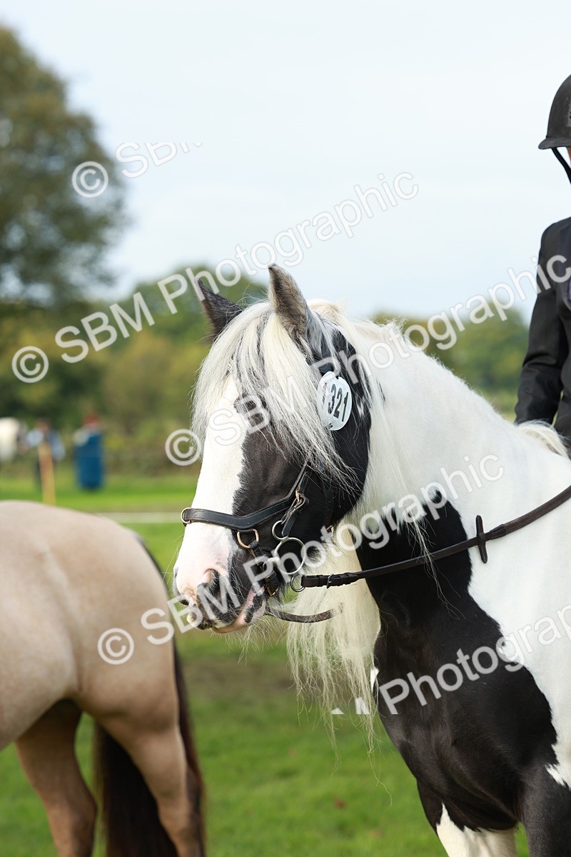 SBM_56450 - S39 - Starters In Hand Showing
