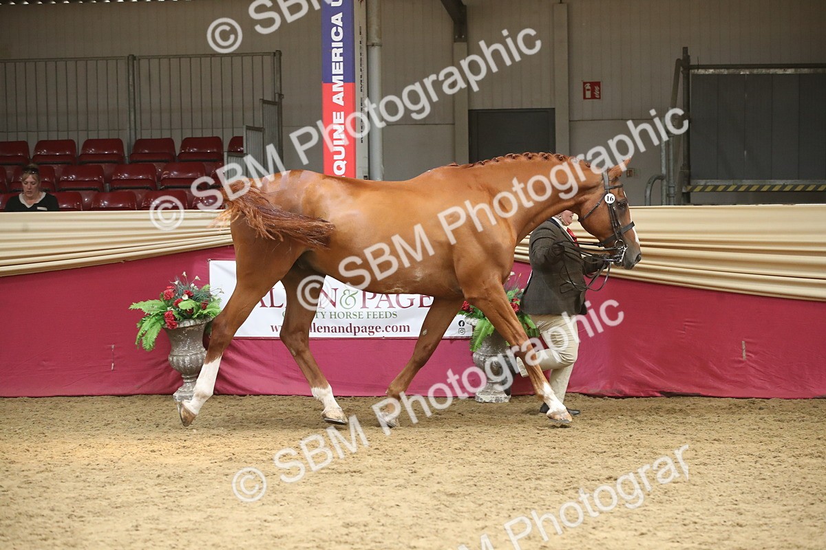 SBM_05572 - Class 9R - Regional IH Pre-Vet