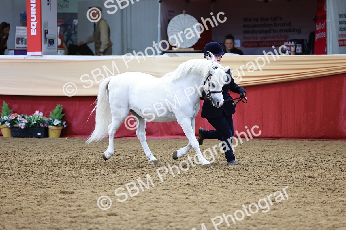 SBM_17383 - Class 951 - M&M IH Supreme Final