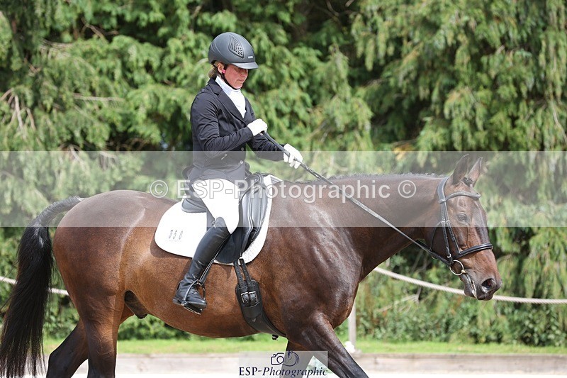 230812-153726-05175 - Cls 5 Novice Bronze 15.00 to End