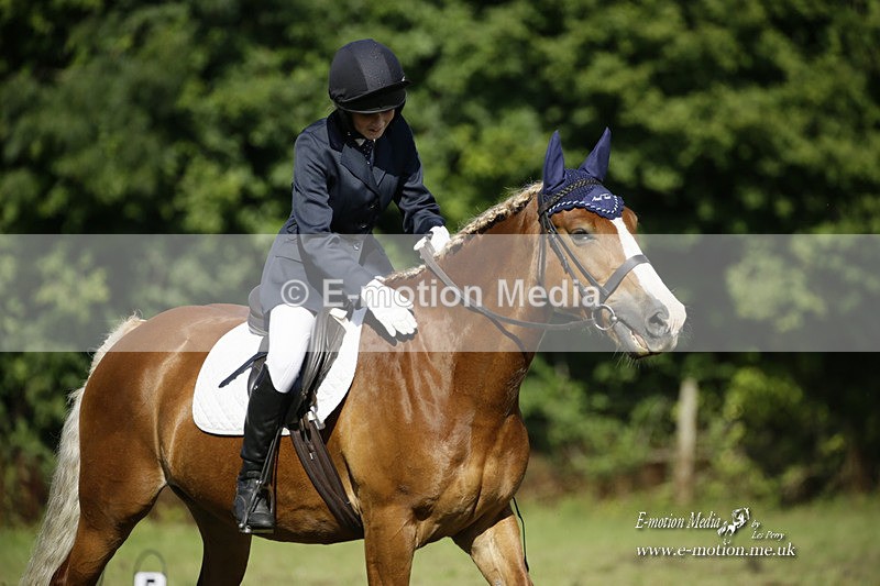 BVRC 120921 215 - Bourne Valley Riding Club UA Dressage & Show Jumping 12/09/21