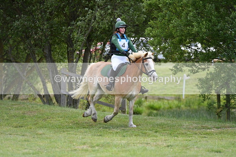 WJ5_2333 - Class 2 40cm