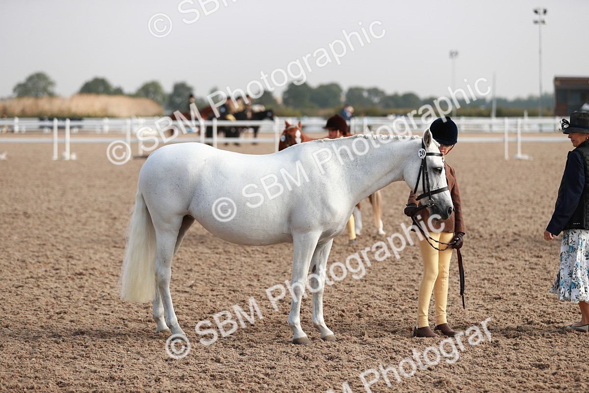SBM_09890 - Class 203 Young Handler, 10 years and under