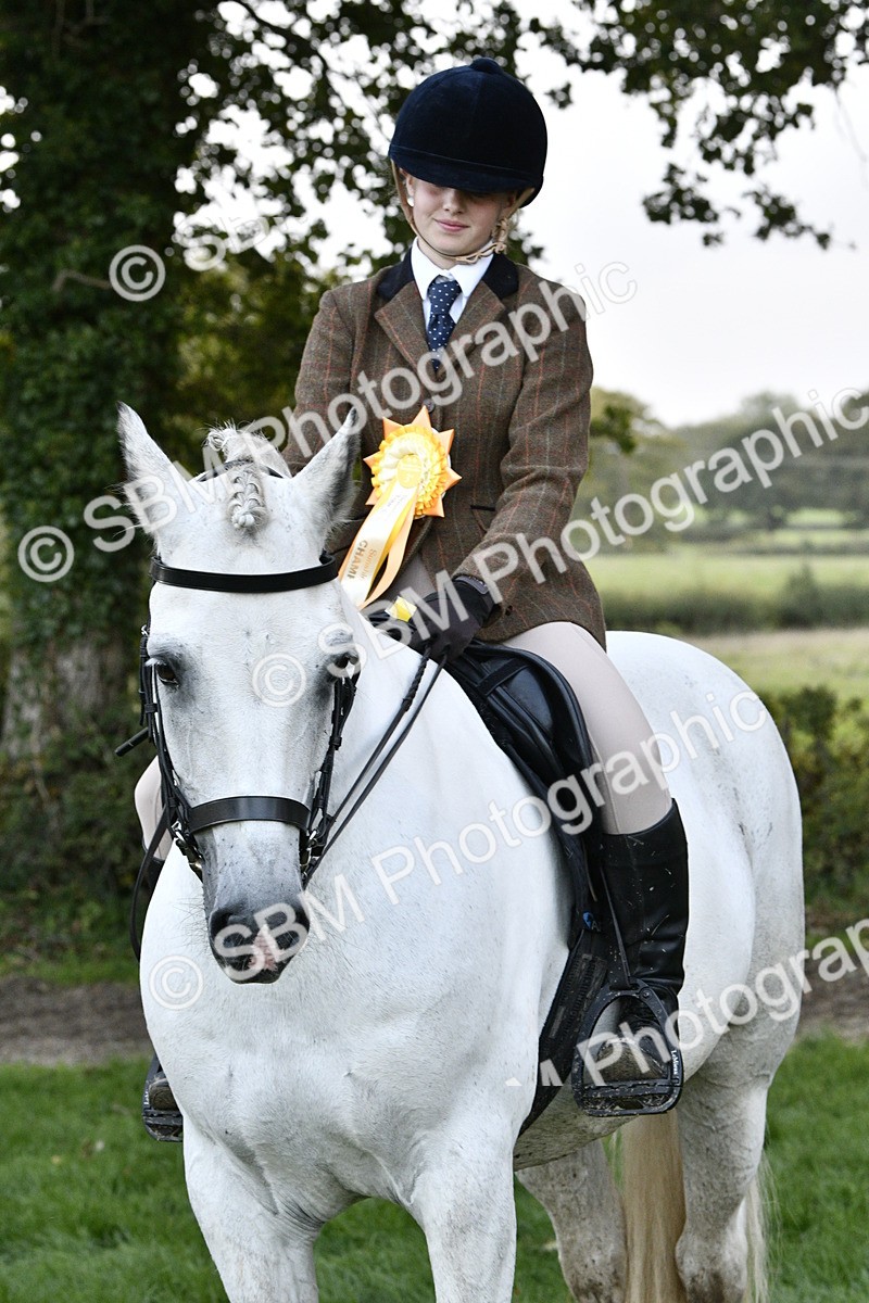 SBM_53614 - S14 - Riding Club Horse