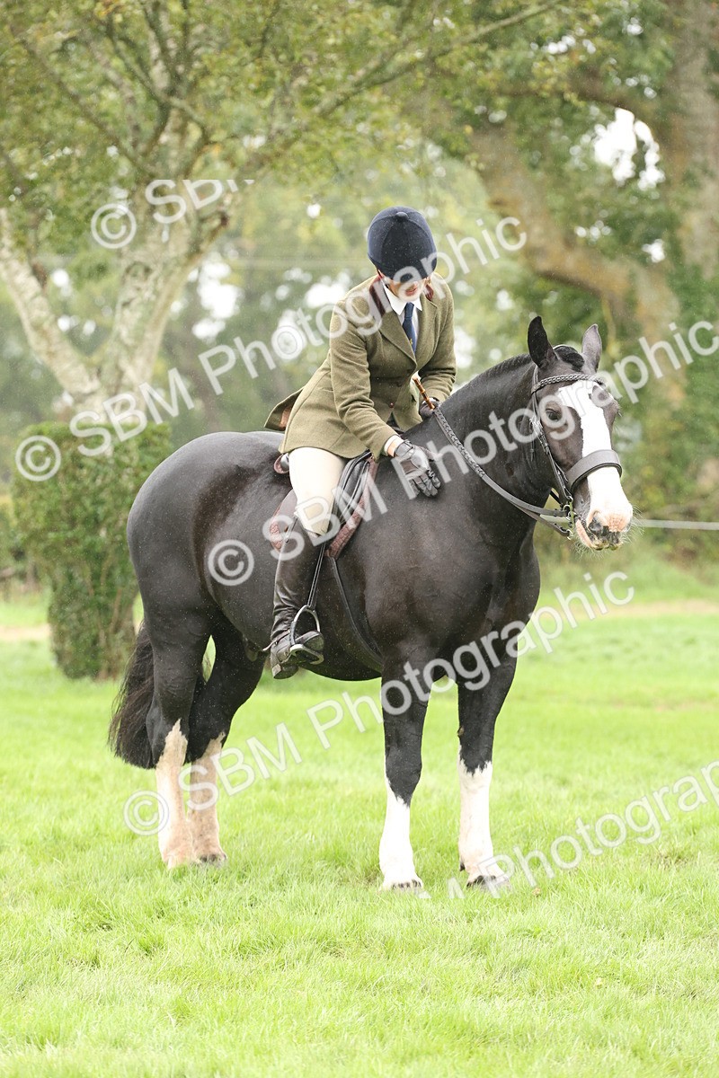 SBM_69853 - S69 - Show Cob Ridden