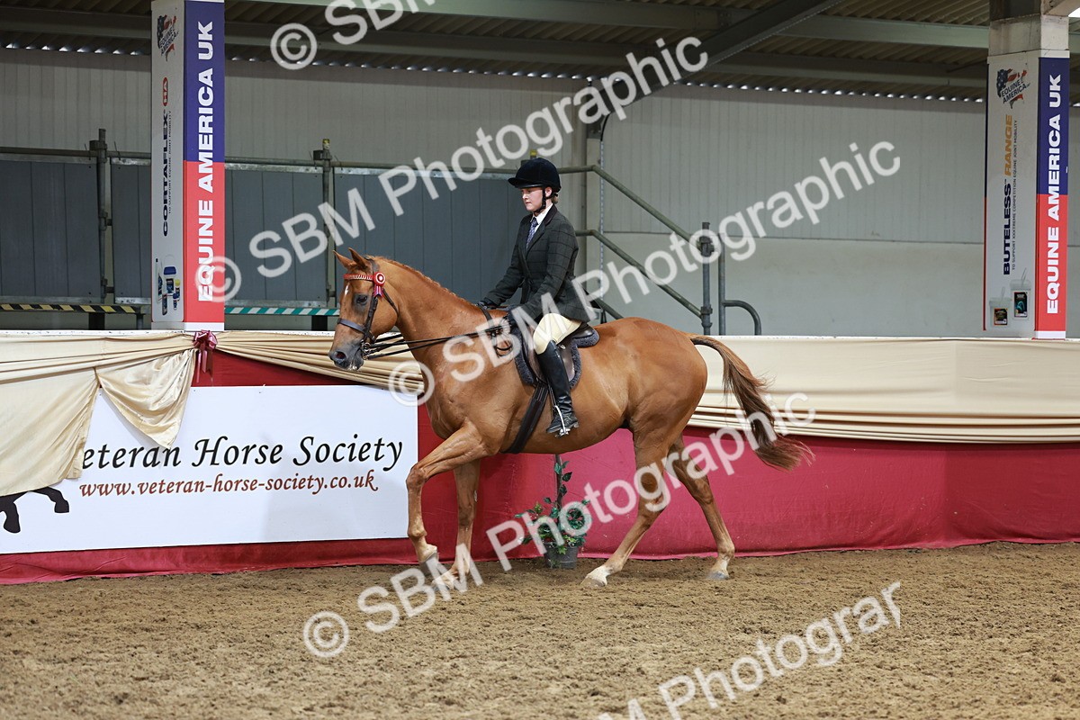 SBM_14911 - Class 108 - Ridden Retired Racehorse