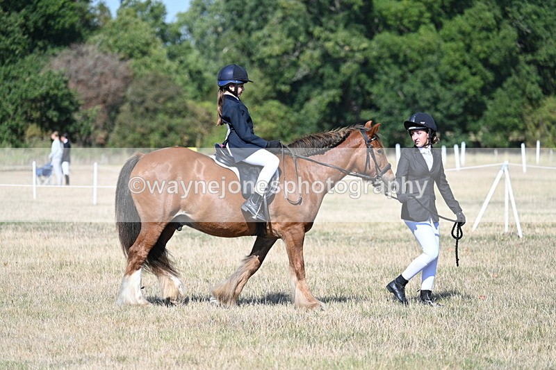 WJ7_2979 - Class 8 Ridden Tack & Turnout