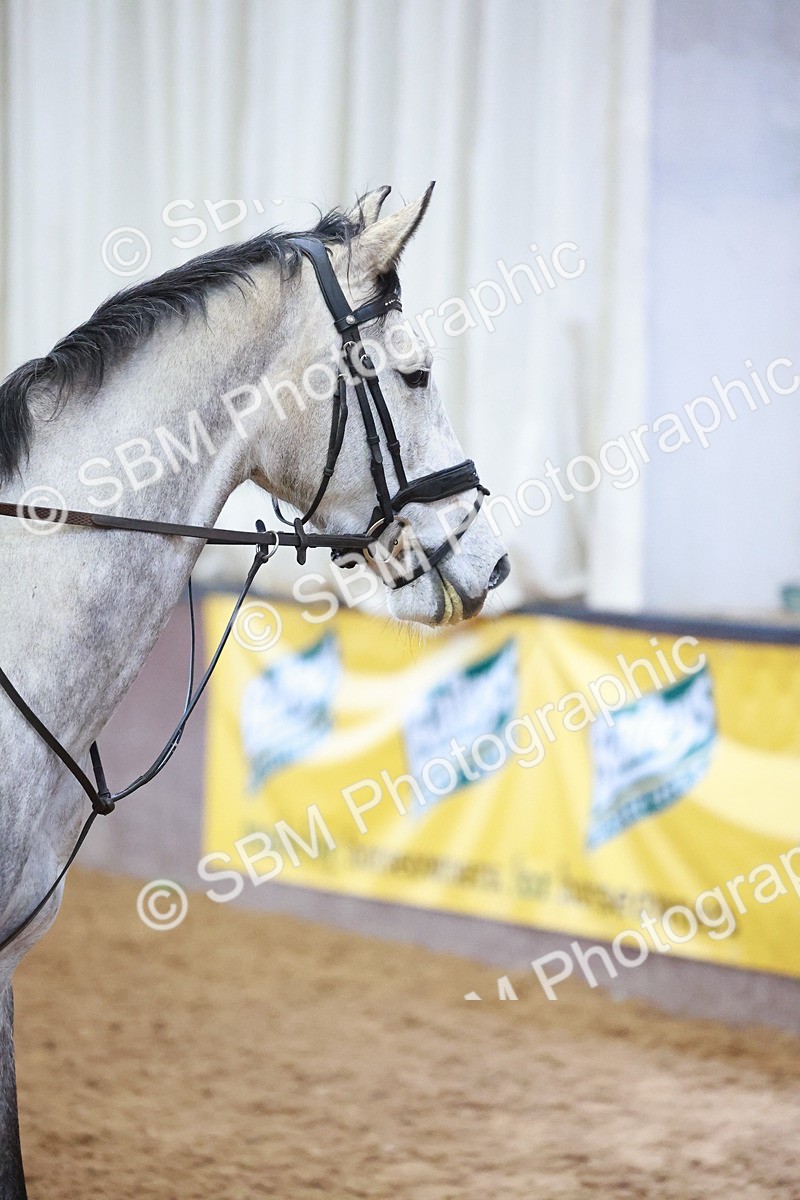 SBM_000302 - Class 1 - Clear Round