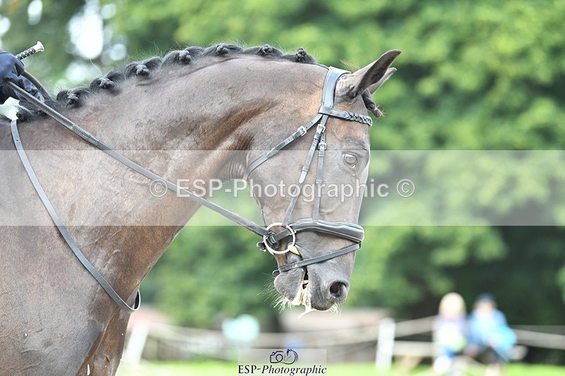 230812-111609-03574 - Cls 6 Novice Silver 10.30 to 11.55 break