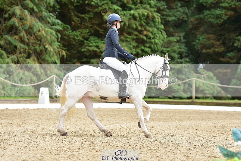 250719A-143800-06315 - 166-Ruby.Vincent-Silver.lining