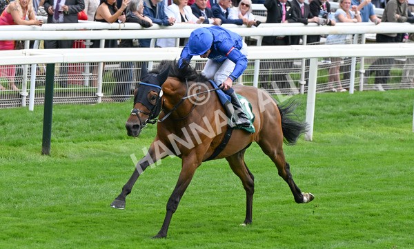 220825-058 Trawlerman - Race 2 2.25pm Weatherbys Lonsdale Cup Stakes