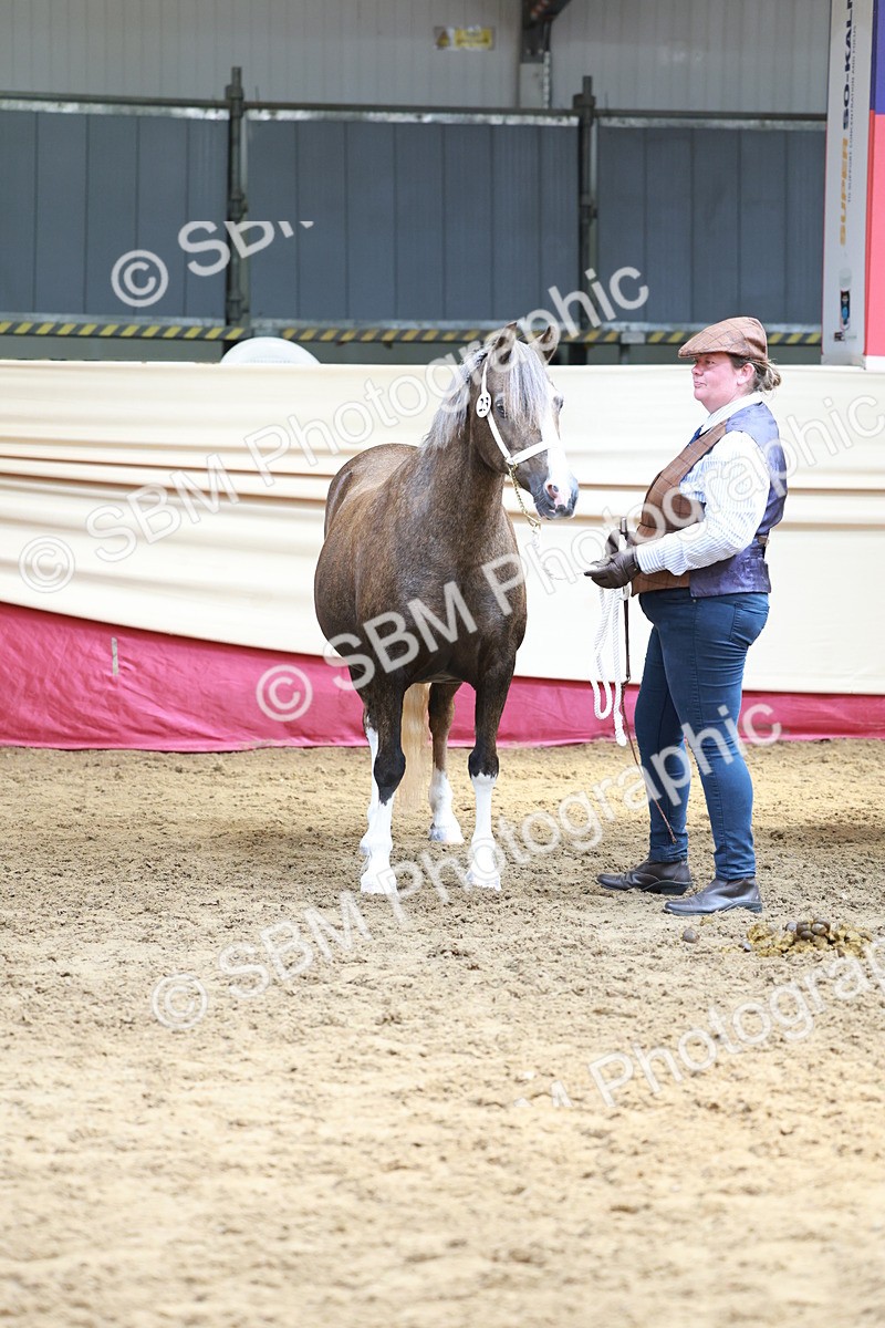 SBM_17552 - Class 951 - M&M IH Supreme Final