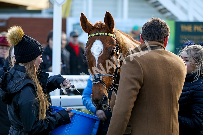 010124-Race 4-Justus-4189 - Race 4