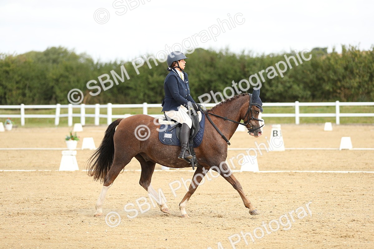 SBM_016293 - Class 13 - Novice 23 - 11.25-12.35