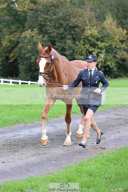 251026A-103306-23093 - E-387-Vittoria.Panizzon