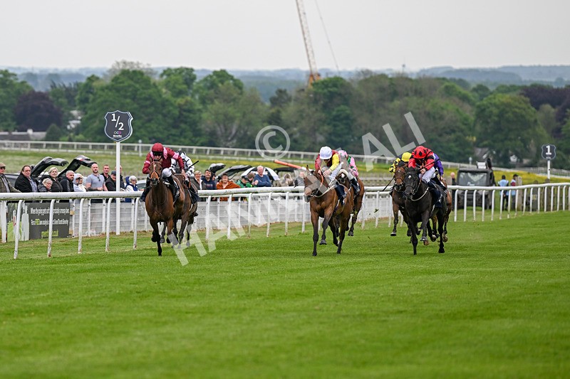 140524-Race 6-Flickering Halo-2679 - Race 6